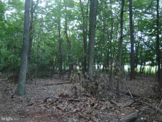 Winchester Grade Road Berkeley Springs, WV 25411 - Photo 5 of 6 Wooded View / Acreage 2