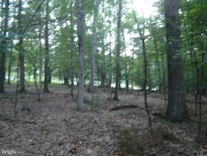 Winchester Grade Road Berkeley Springs, WV 25411 - Photo 6 of 6 Wooded View / Acreage 3