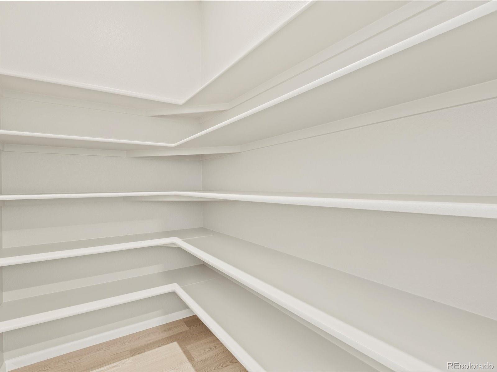 851 Frst Cyn Road Severance, CO 80550 - Photo 17 of 37 a view of walk in closet with empty racks