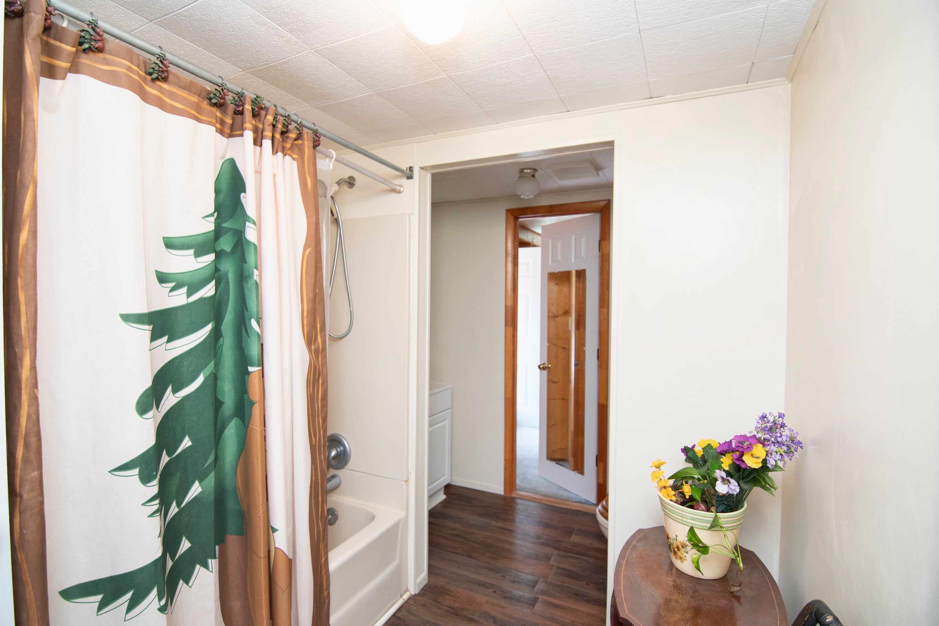 7394 Crag Road Rainelle, WV 25962 - Photo 24 of 41 primary full bath