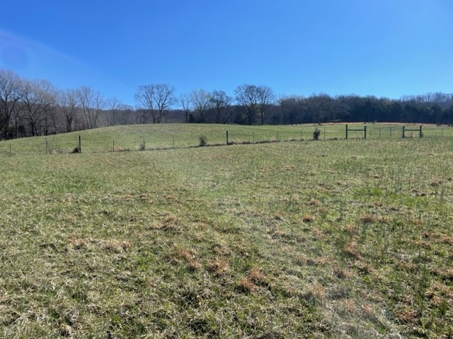 7 Patton Hollow Road Watertown, TN 37184 - Photo 12 of 14