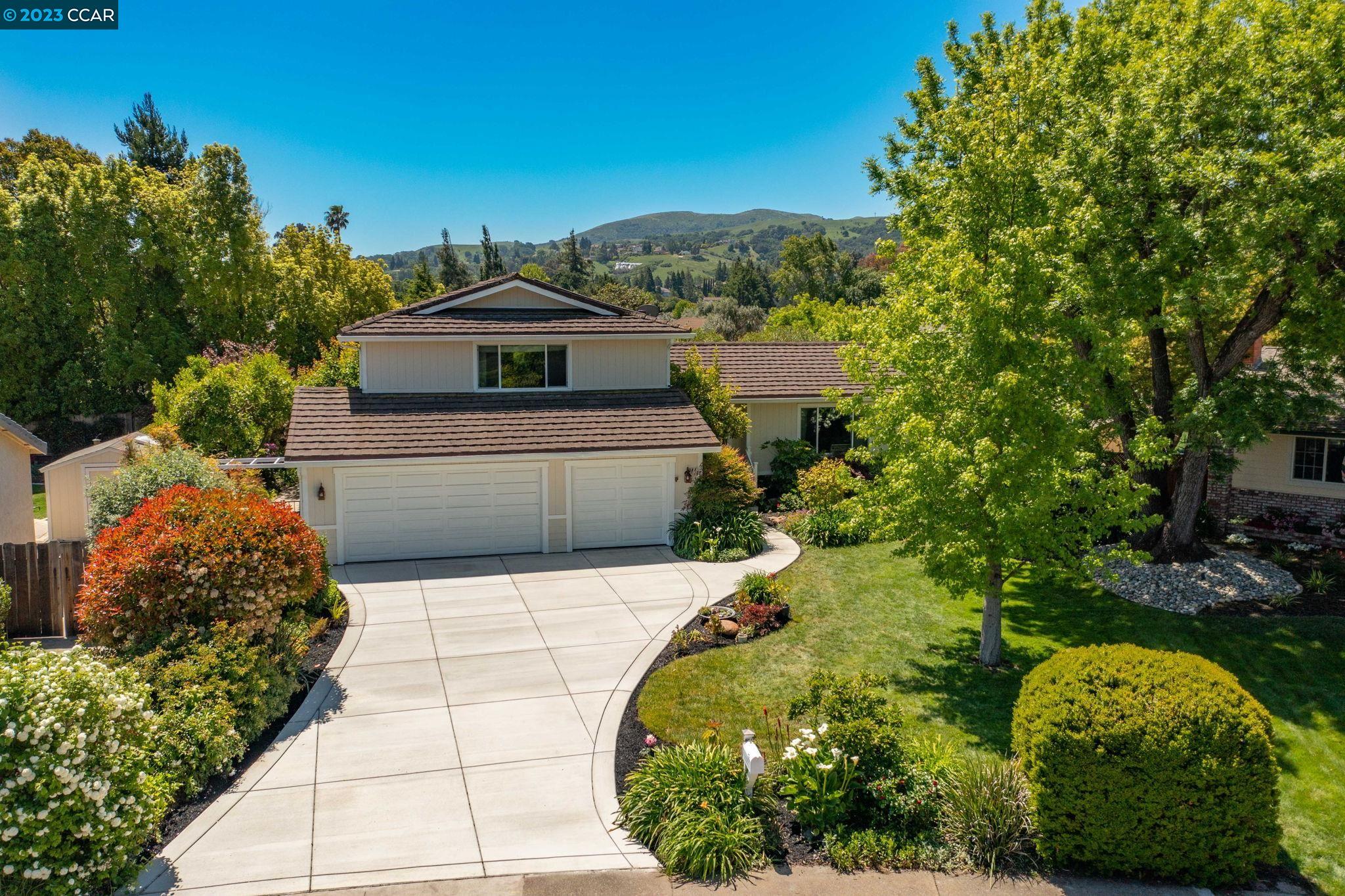 a view of a garden with a pathway