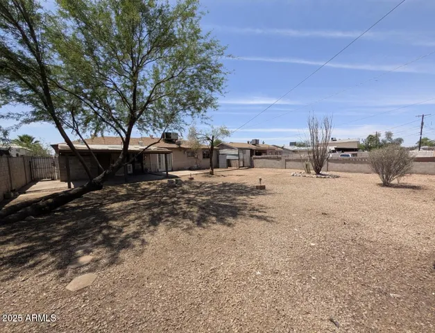 a view of a yard with car parked