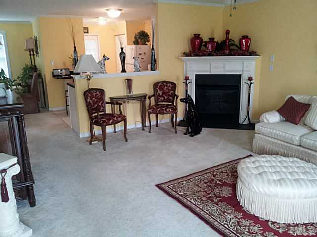 2052 Buffalo Way Durham, NC 27704 - Photo 2 of 20 a living room with furniture and a fireplace