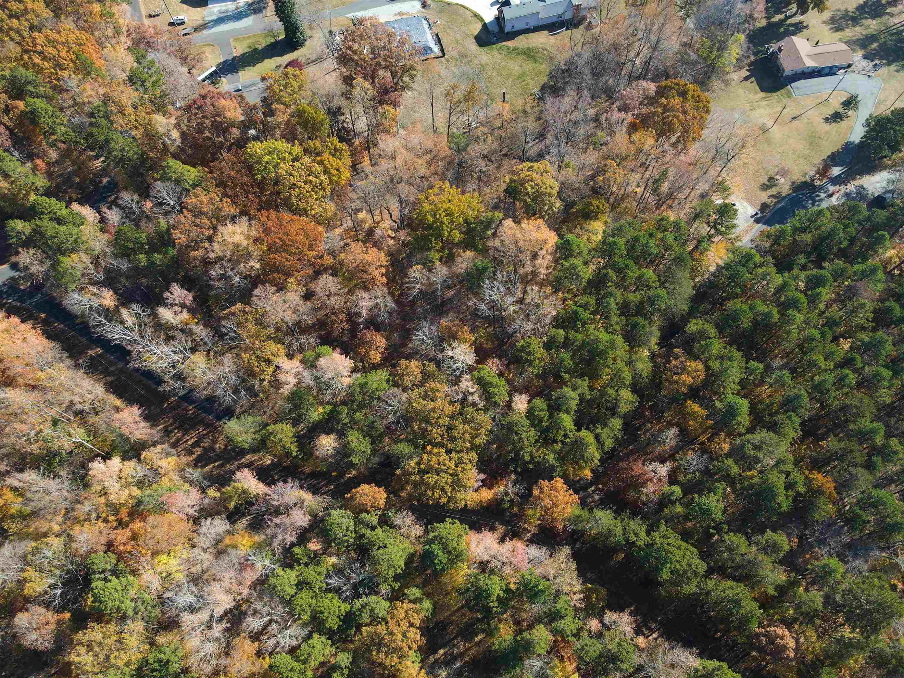 28 Greenway Drive Semora, NC 27343 - Photo 7 of 7 Photo 7