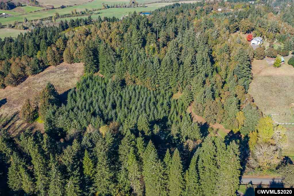 15555 Strong (next To) Road Dallas, OR 97338 - Photo 10 of 11