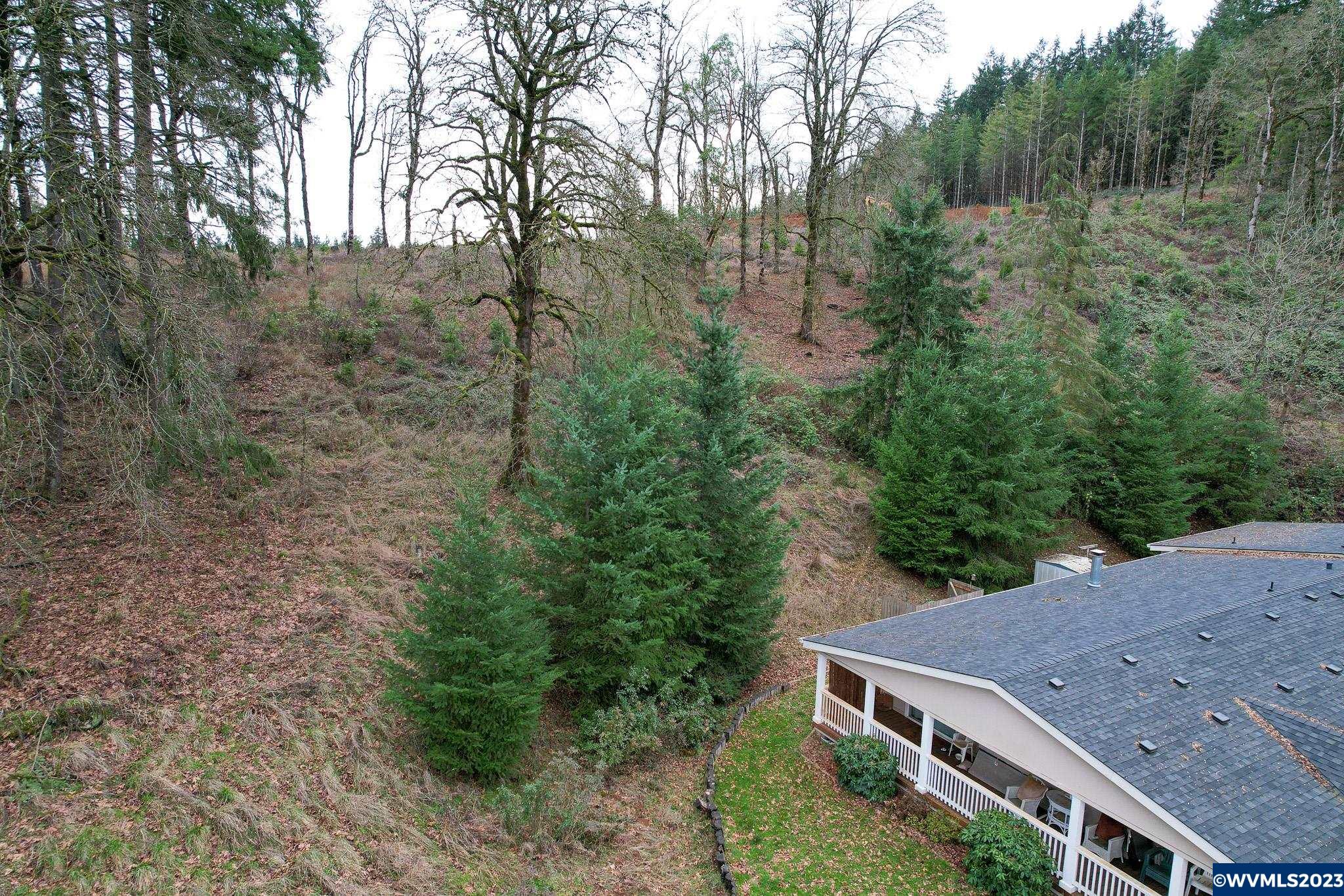 9225 Parrish Gap Road Southeast Turner, OR 97392 - Photo 22 of 24