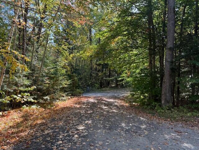 3 Larch Drive Fryeburg, ME 04037 - Photo 3 of 21 Lot