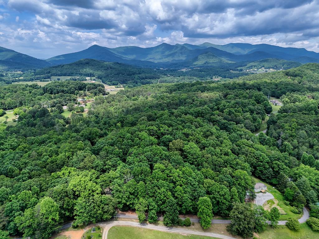 65 Dallas Hill Road Blairsville, GA 30512 - Photo 42 of 43 Gallery Image 42