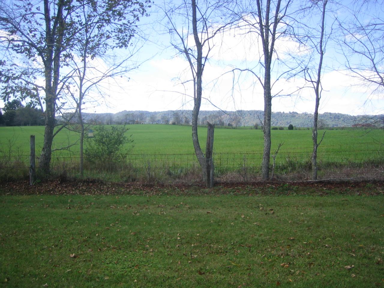 55 West Bailey Road Lewisburg, WV 24901 - Photo 11 of 13 Back Yard