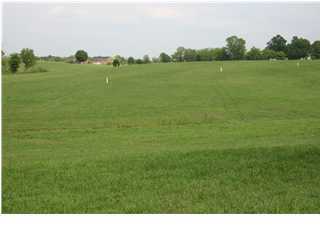 0 Midway Lane Springfield, KY 40069 - Photo 1 of 1 Primary Photo