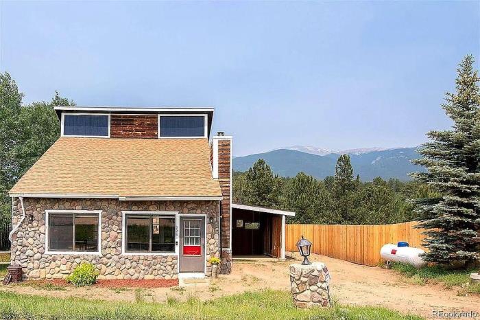 225 Appleby Street Bailey, CO 80421 - Photo 1 of 37