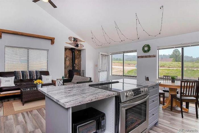 225 Appleby Street Bailey, CO 80421 - Photo 21 of 37