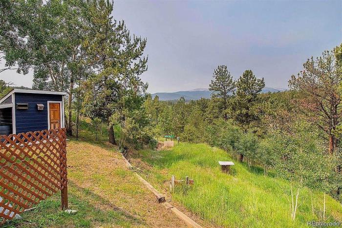 225 Appleby Street Bailey, CO 80421 - Photo 28 of 37