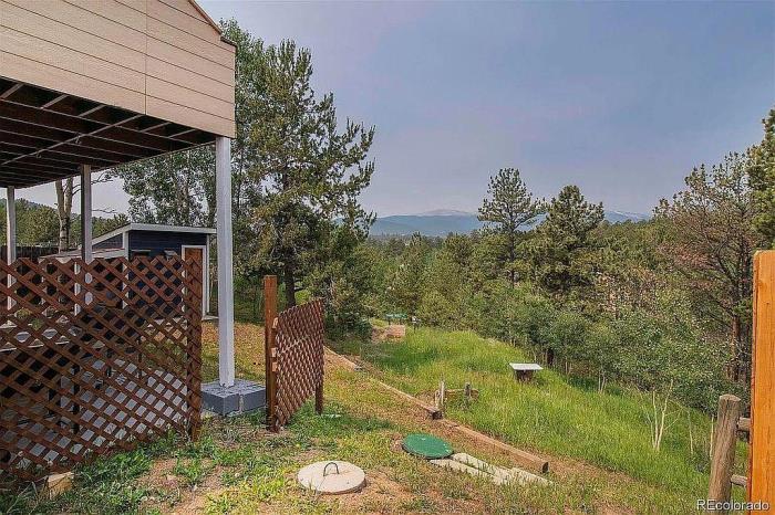 225 Appleby Street Bailey, CO 80421 - Photo 29 of 37