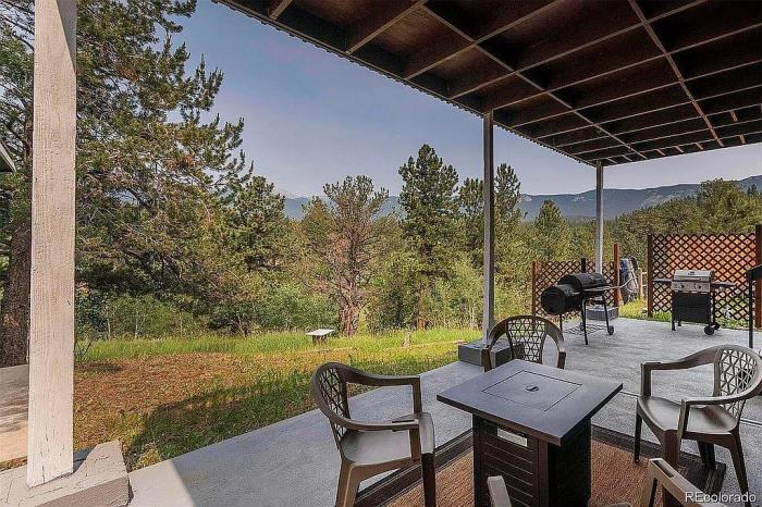 225 Appleby Street Bailey, CO 80421 - Photo 30 of 37