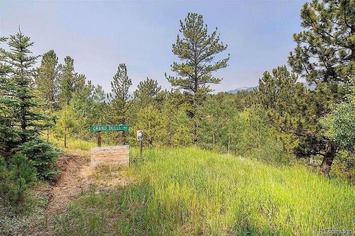 225 Appleby Street Bailey, CO 80421 - Photo 32 of 37