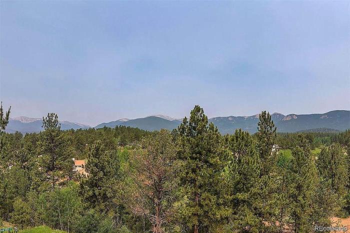 225 Appleby Street Bailey, CO 80421 - Photo 33 of 37