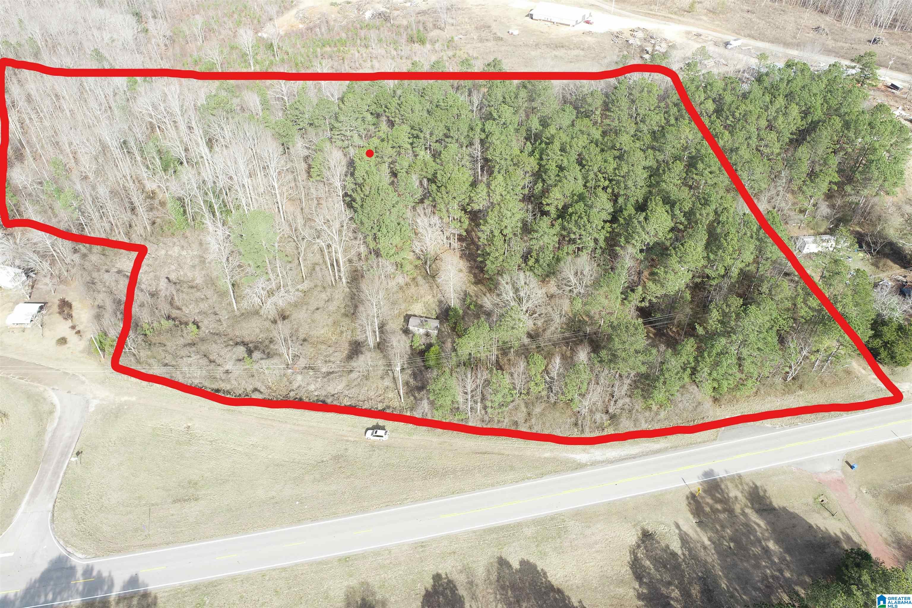 0 Highway 48 Wedowee, AL 36278 - Photo 9 of 9