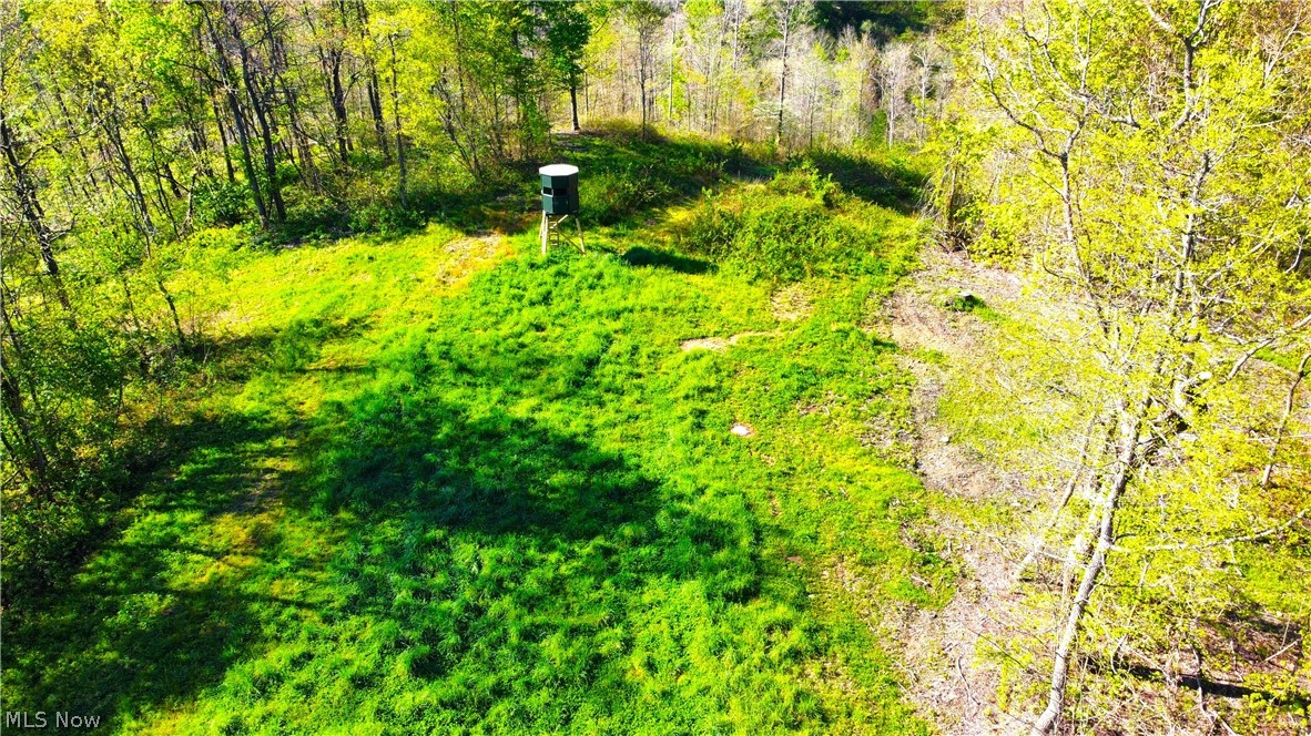 Patton Road Jewett, OH 43986 - Photo 22 of 42
