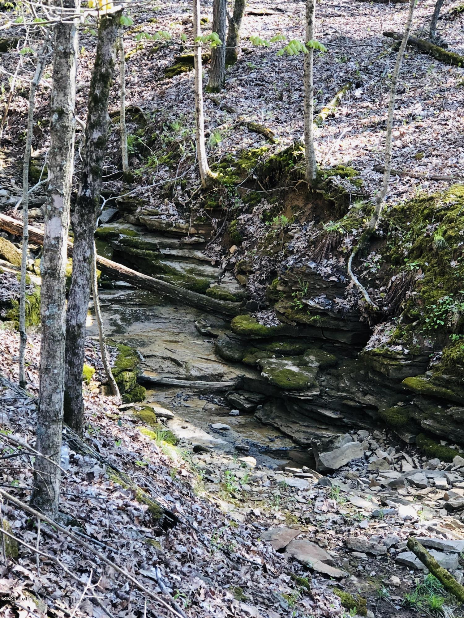 210 Winter Green Road Brandenburg, KY 40108 - Photo 33 of 33 Creek bed leading to the lake