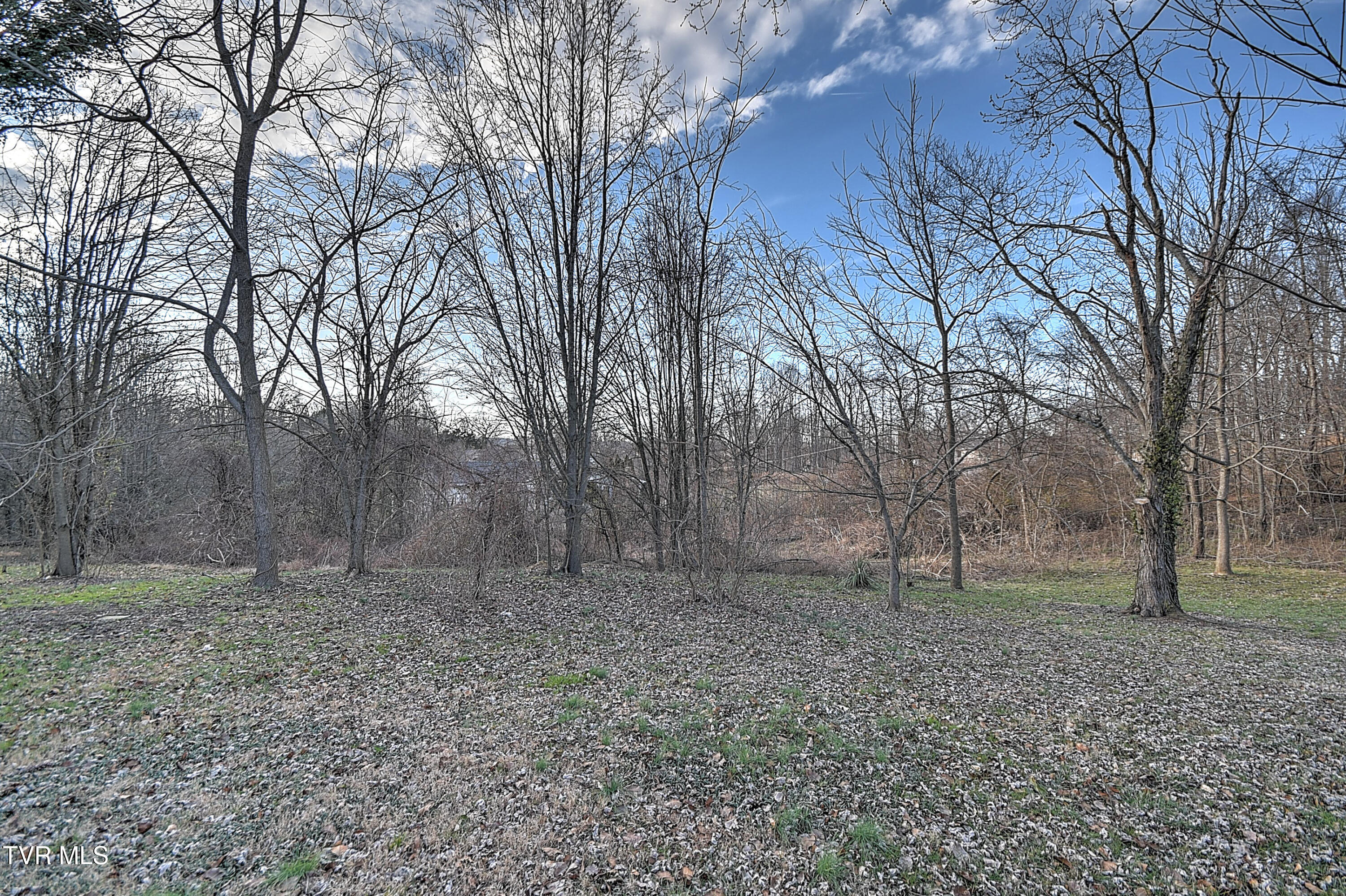 248 Dean Archer Road Jonesborough, TN 37659 - Photo 64 of 83 248 Dean Archer CP-65