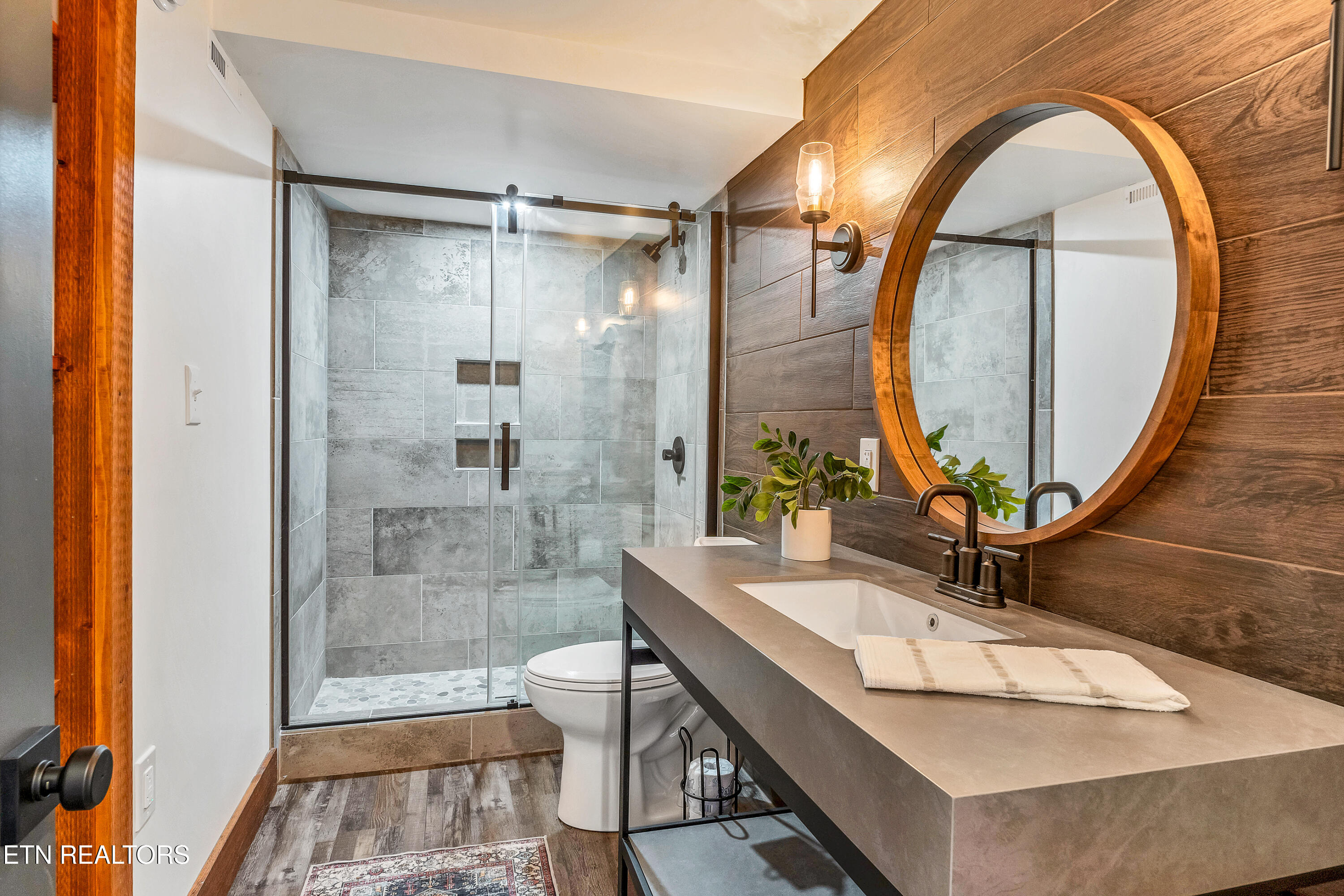 133 Westwing Cave Road Townsend, TN 37882 - Photo 21 of 36 DSC00008 - Copy