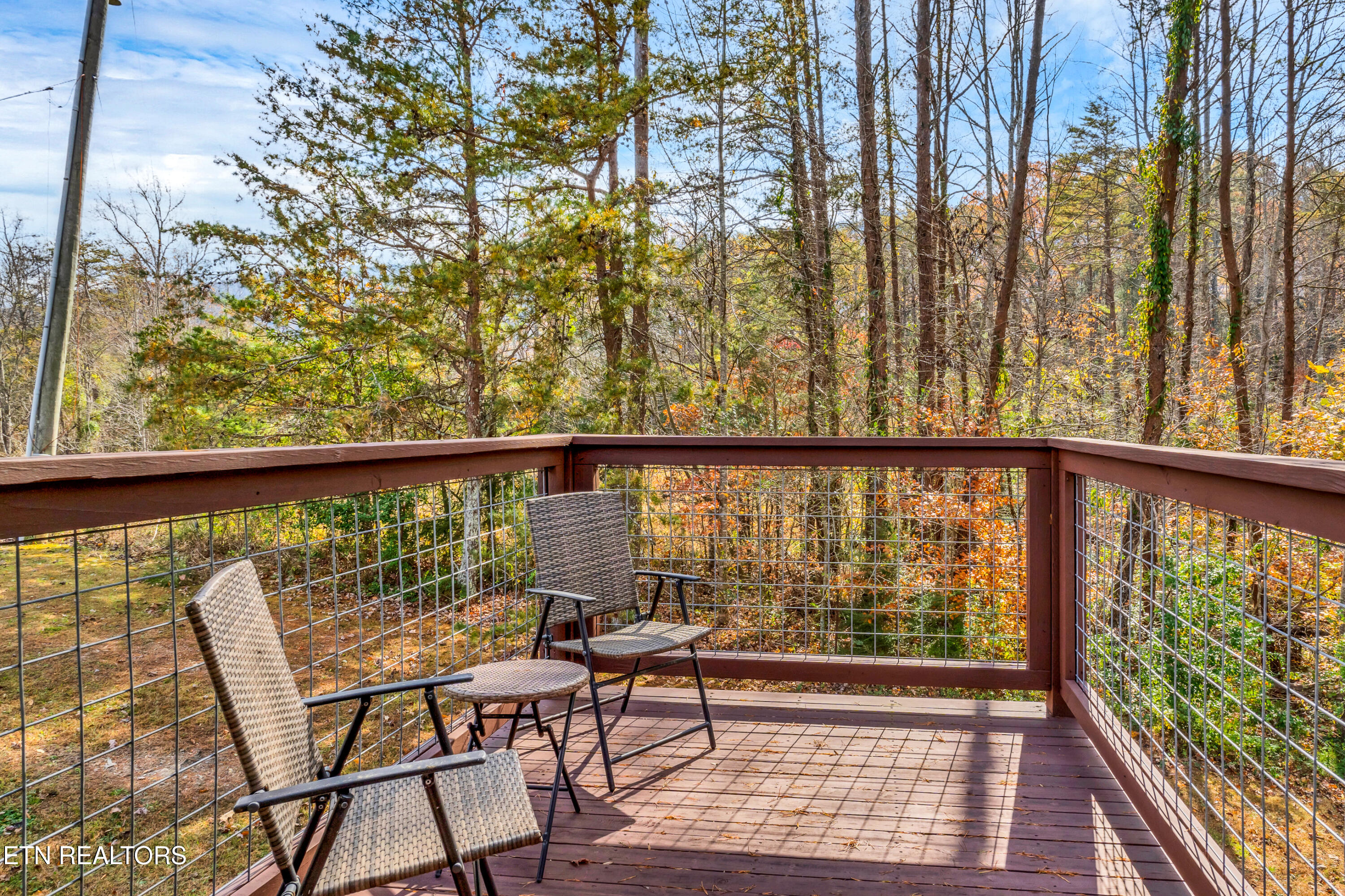 133 Westwing Cave Road Townsend, TN 37882 - Photo 31 of 36 DSC00053