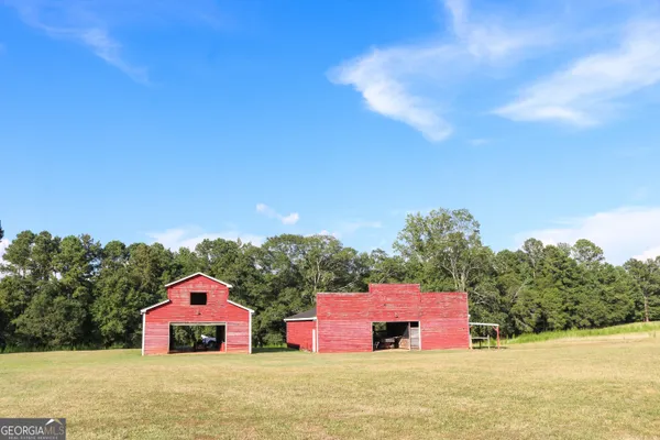 a picture of flowers