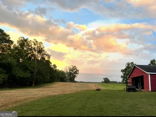 a view of a yard with large trees