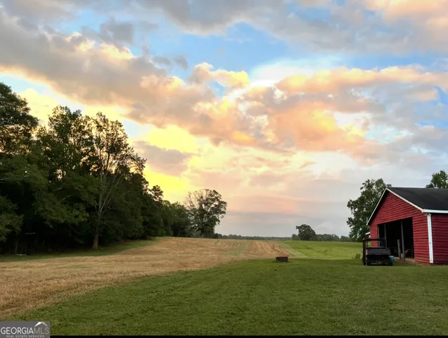 a view of a yard with large trees