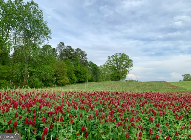 a view of outdoor space and yard
