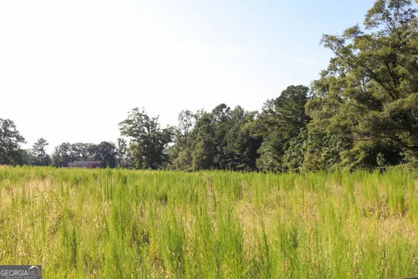 a view of backyard with green space