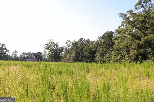 a view of backyard with green space