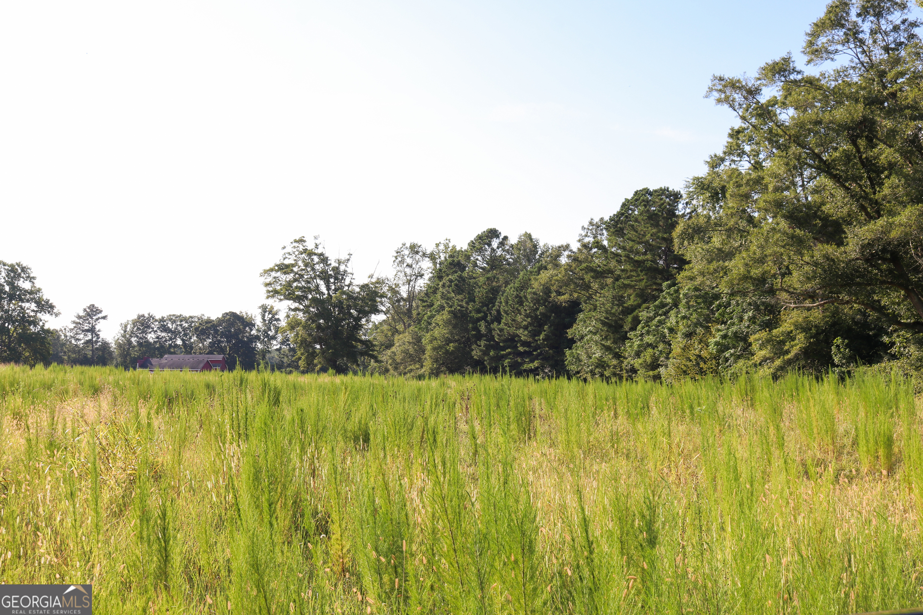 1224 Walker Road Madison, GA 30650 - Photo 44 of 57