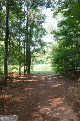 a view of lake with green space
