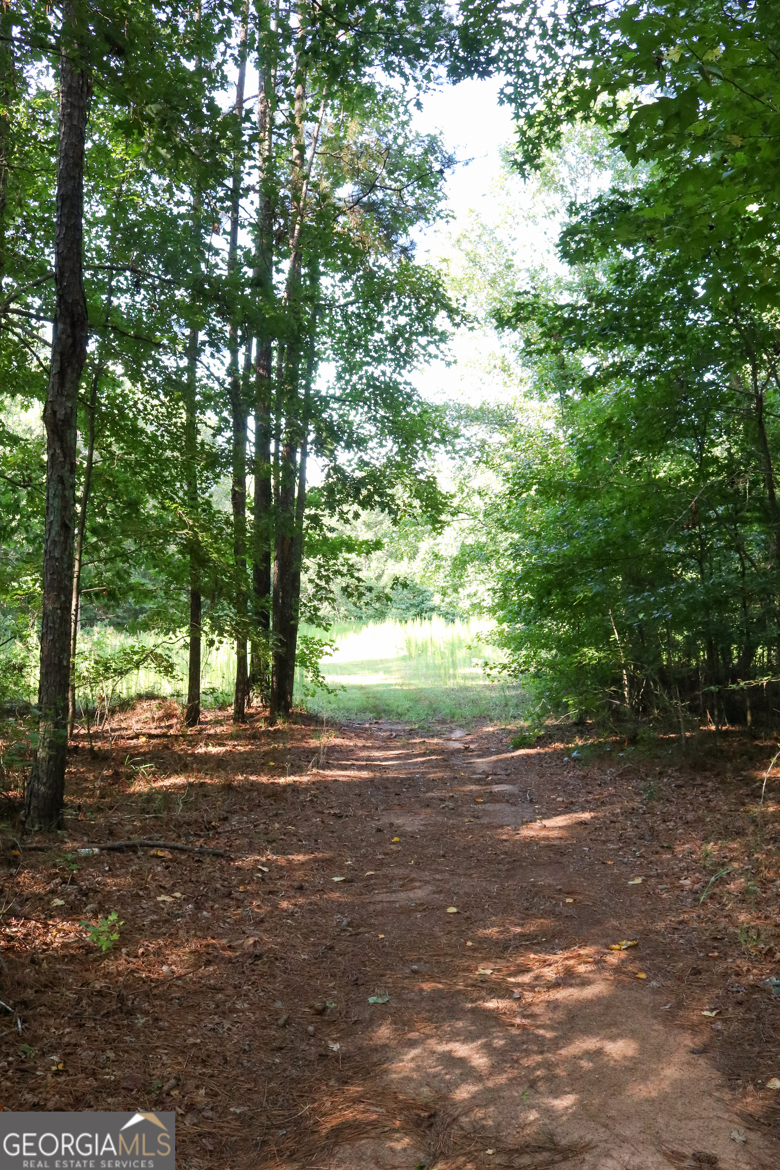 1224 Walker Road Madison, GA 30650 - Photo 46 of 57 a view of a yard with large trees
