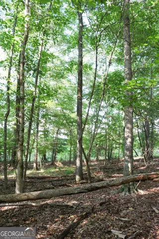 a view of a swimming pool and a yard