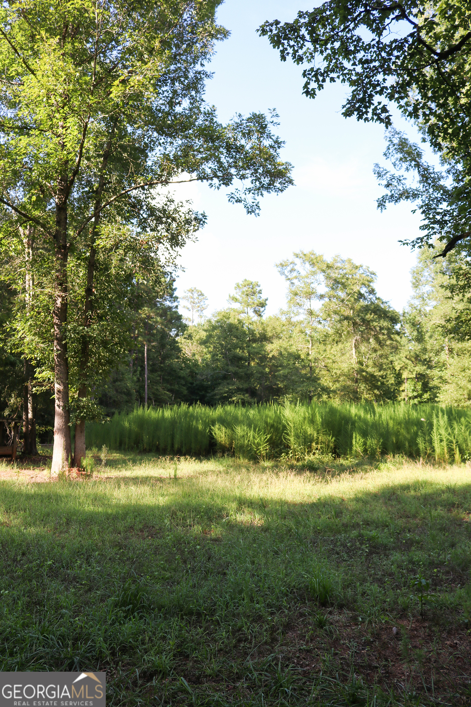 1224 Walker Road Madison, GA 30650 - Photo 48 of 57 a view of outdoor space and yard