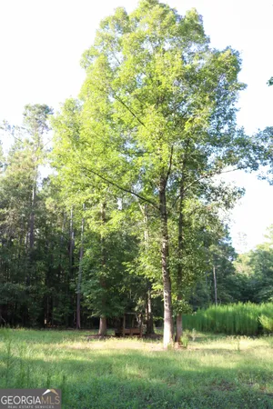 a view of a lake with a yard