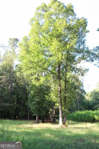 a view of a lake with a yard