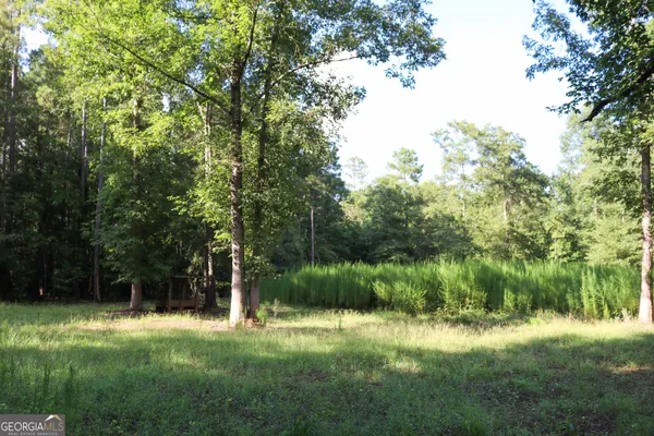 a bathroom with a shower curtain