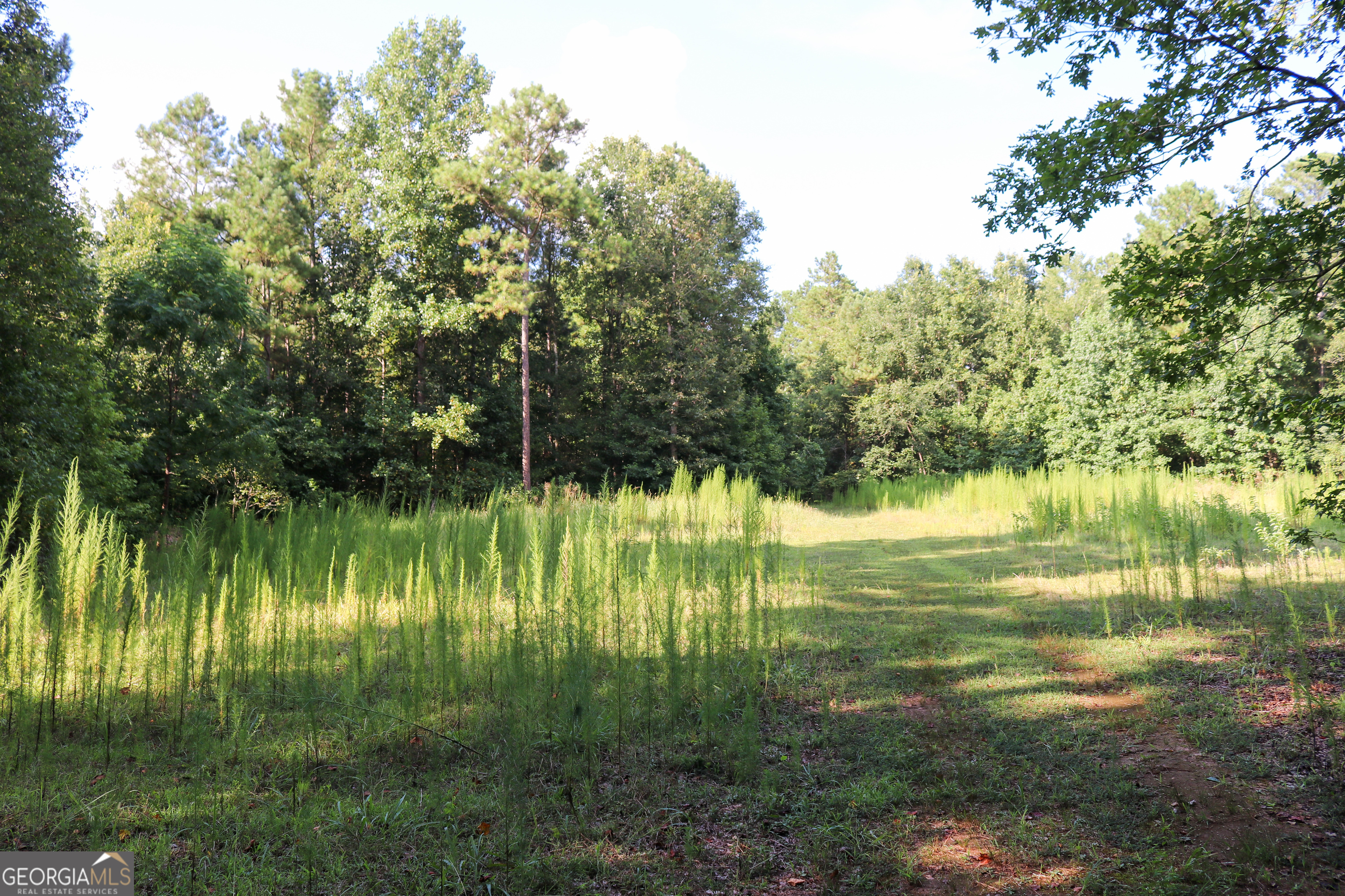 1224 Walker Road Madison, GA 30650 - Photo 51 of 57 a view of lake with green space