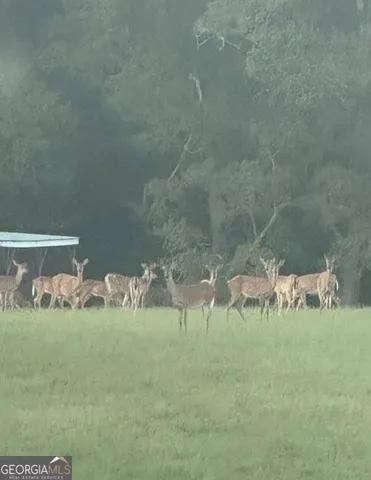 $1,995,000 | 1224 Walker Road, Madison, GA 30650