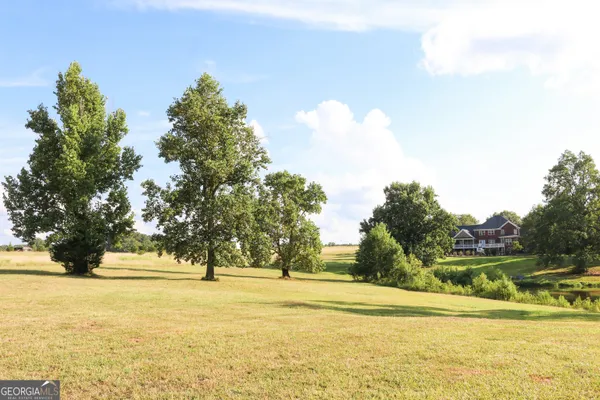a view of yard with swimming pool and green space