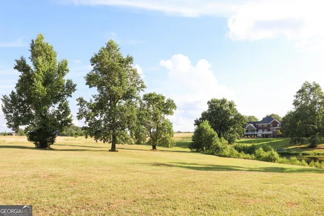a view of yard with swimming pool and green space