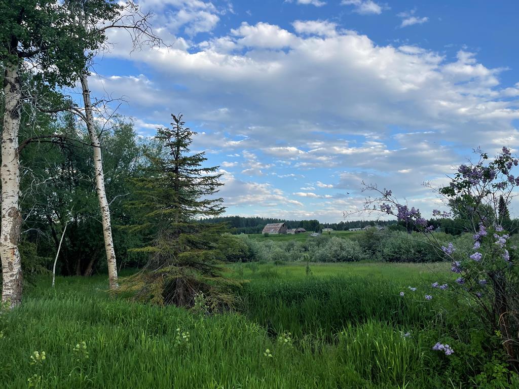 503 South 3rd Street McCall, ID 83638 - Photo 3 of 5