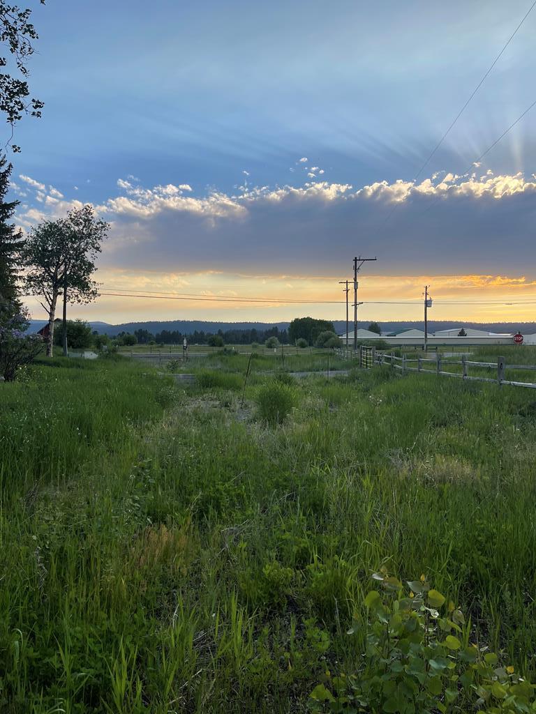 503 South 3rd Street McCall, ID 83638 - Photo 4 of 5