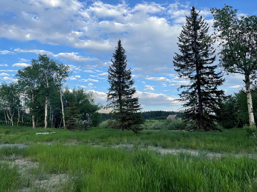 503 South 3rd Street McCall, ID 83638 - Photo 5 of 5