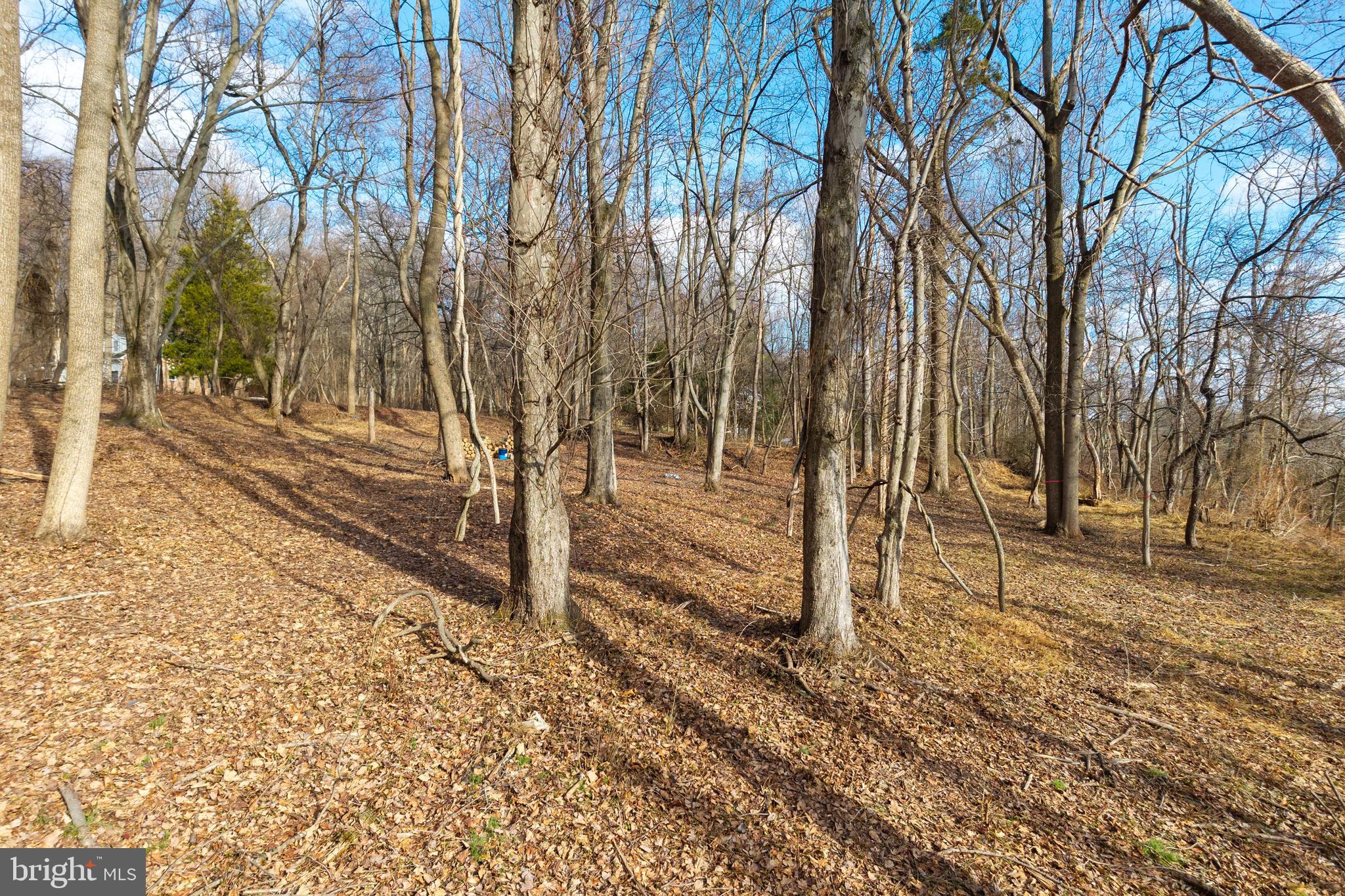 1615 St Peters Road Pottstown, PA 19465 - Photo 29 of 31 a backyard of a house with lots of green space